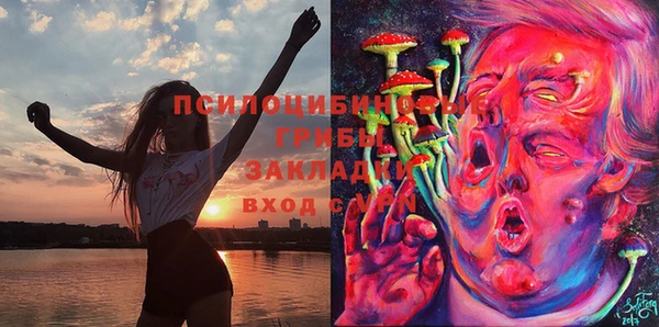 mdpv Алзамай