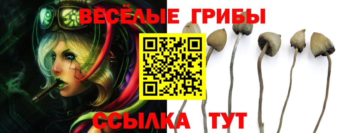 Люберцы  Псилоцибиновые грибы Cubensis  Псилоцибиновые грибы MAGIC MUSHROOMS  Вход с VPN 